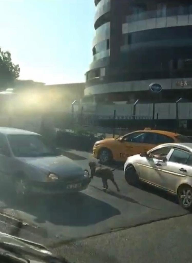 Seyir halindeyken köpek gezdiren sürücü kamerada