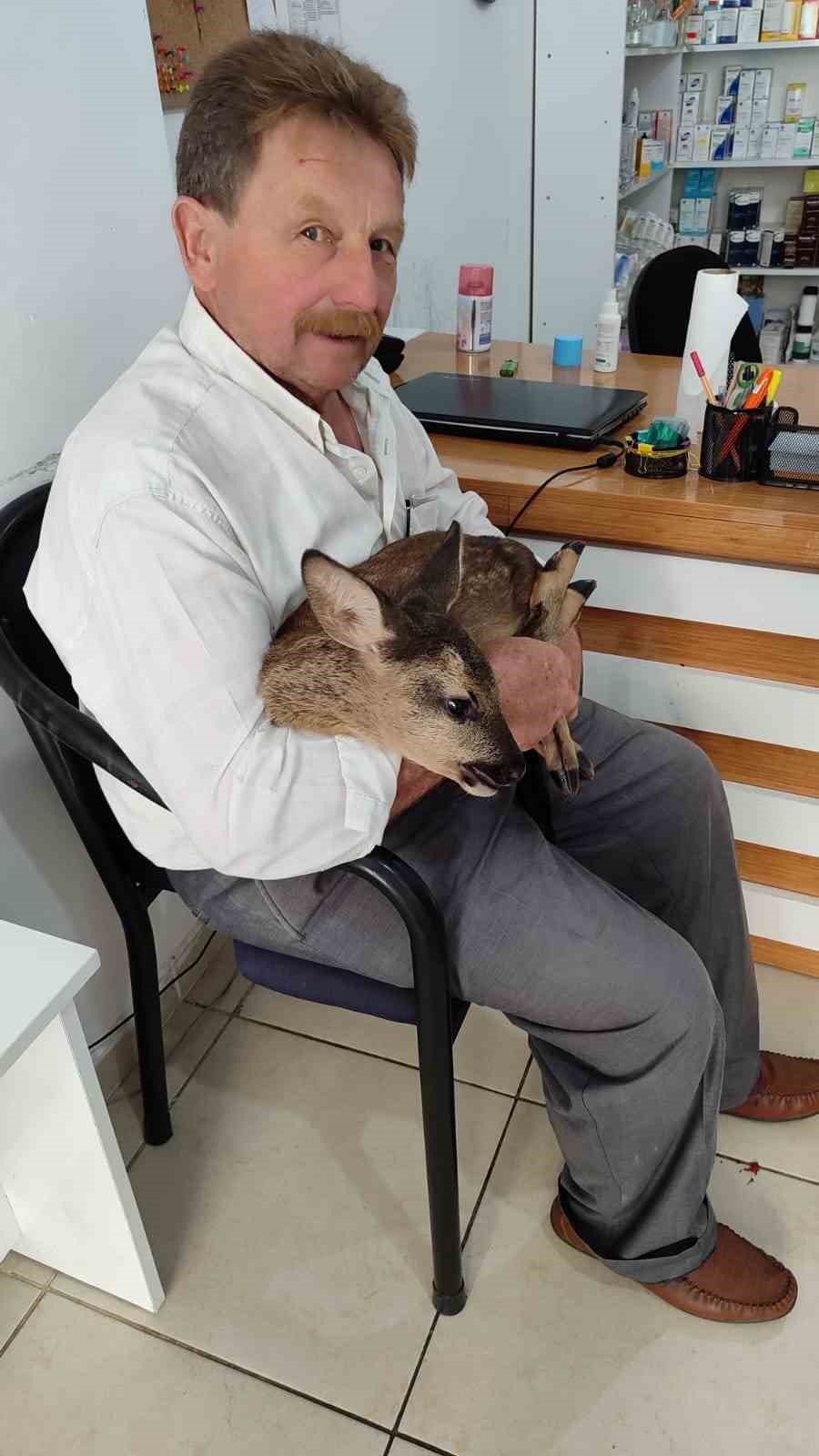 Karaca yavrusunu köpeklerin saldırısından köylüler kurtardı