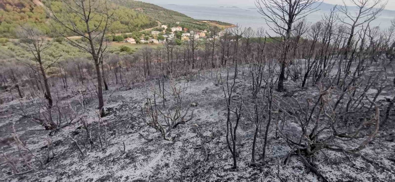 İzmir’deki orman yangınlarında soğutma çalışmaları sürüyor