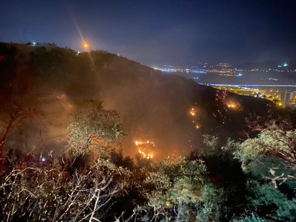 Kahramanmaraş’ta yaklaşık 7 dönümlük zeytinlik arazi kül oldu