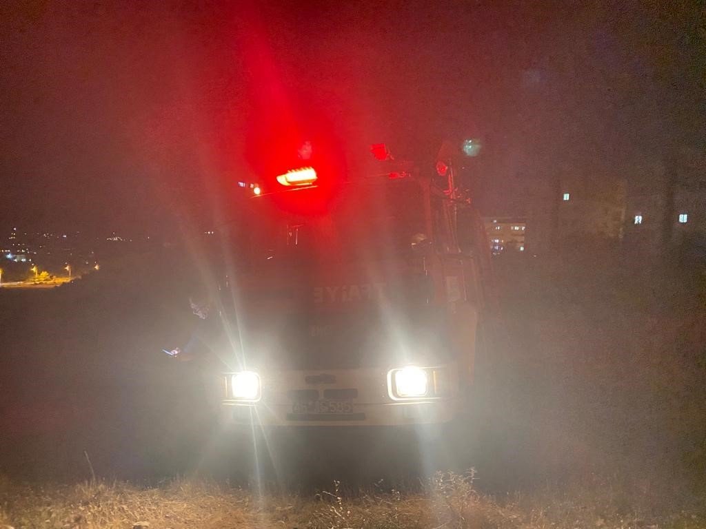 Kahramanmaraş’ta yaklaşık 7 dönümlük zeytinlik arazi kül oldu