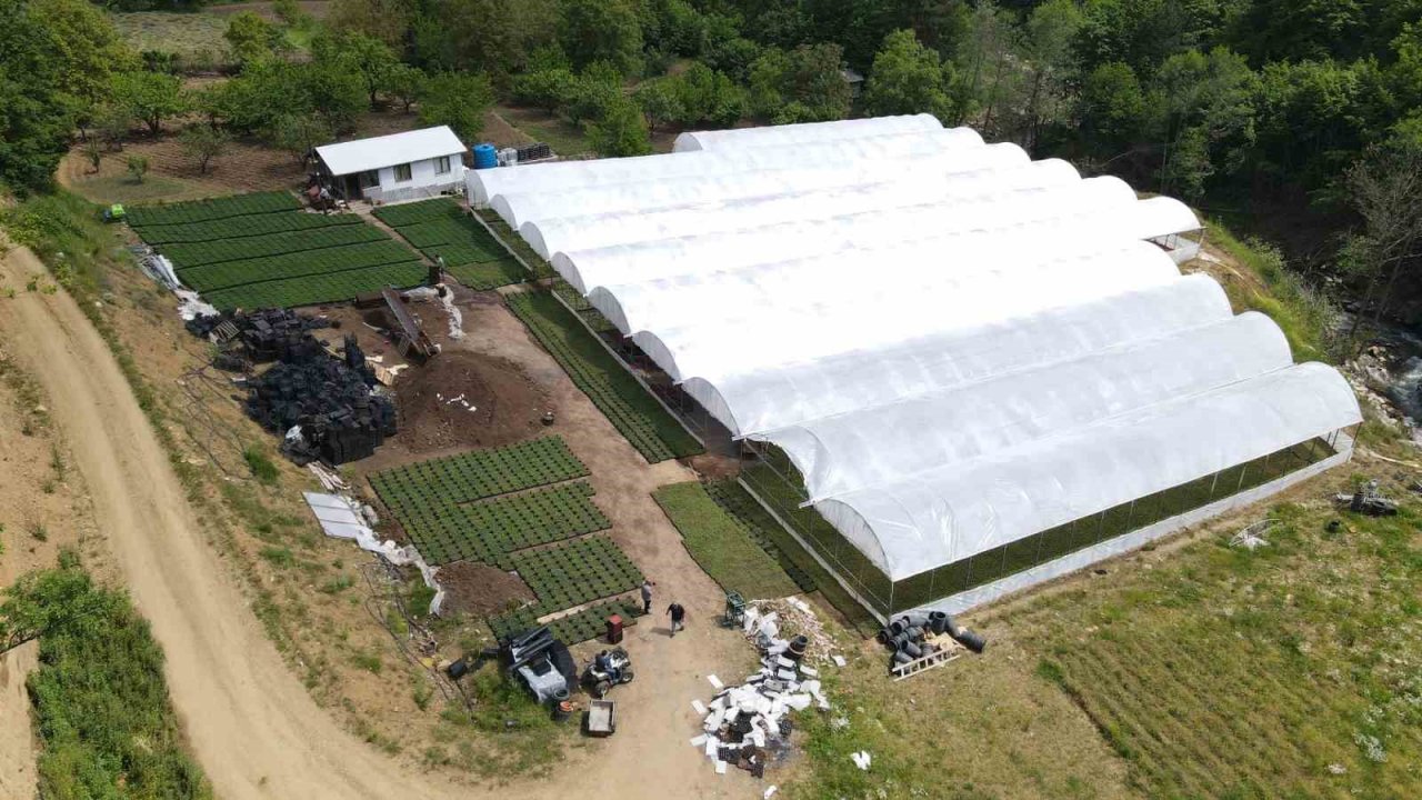 Çiftçi üretiyor, Bursa çiçek açıyor