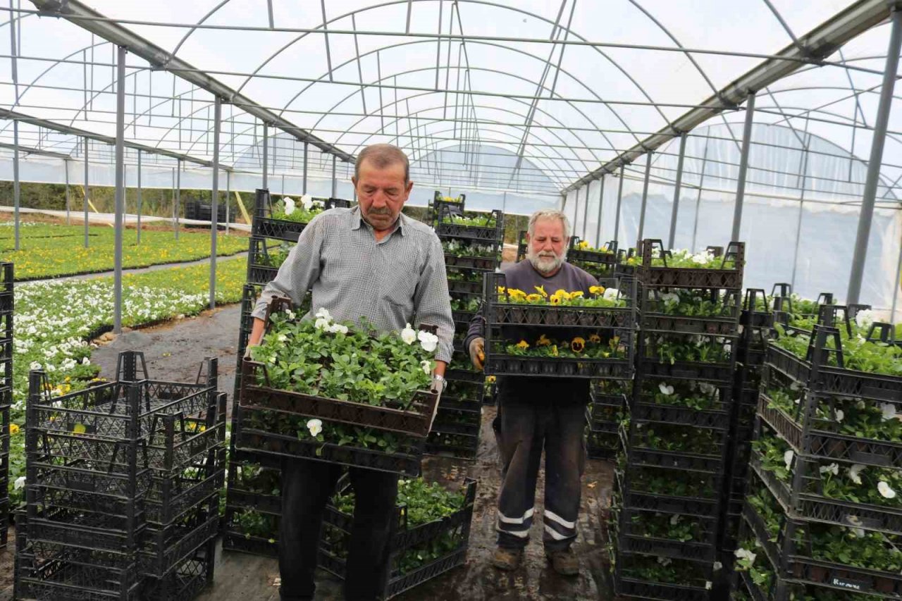 Çiftçi üretiyor, Bursa çiçek açıyor