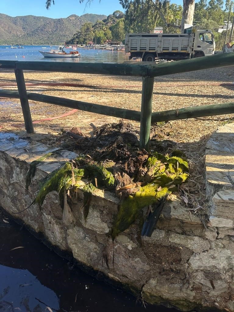 Marmaris’teki derelerde temizlik mesaisi sürüyor