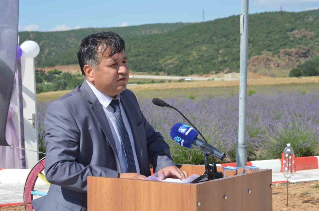 DPÜ Tavşanlı Meslek Yüksekokulunda lavanta bahçesi