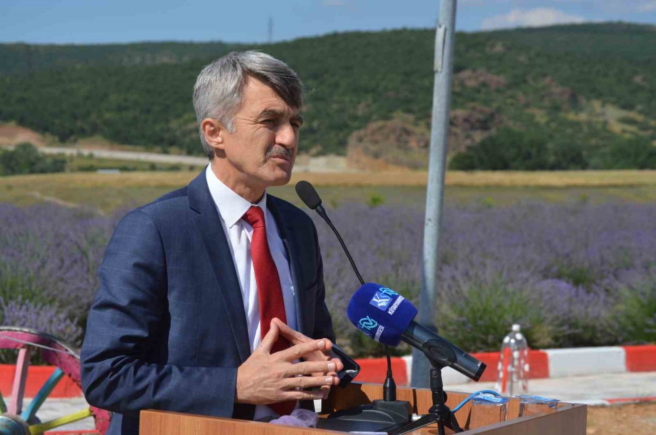 DPÜ Tavşanlı Meslek Yüksekokulunda lavanta bahçesi