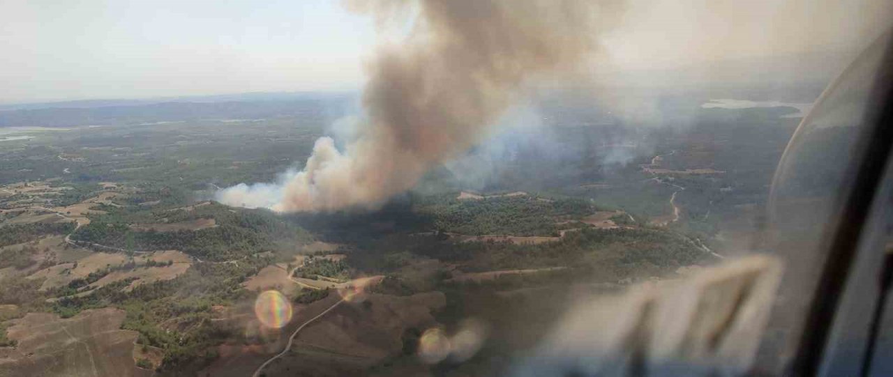 Adana’da orman yangını: Ekipler müdahaleye başladı
