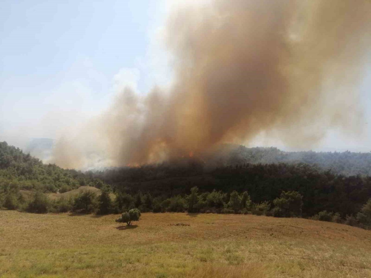 Adana’da orman yangını: Ekipler müdahaleye başladı