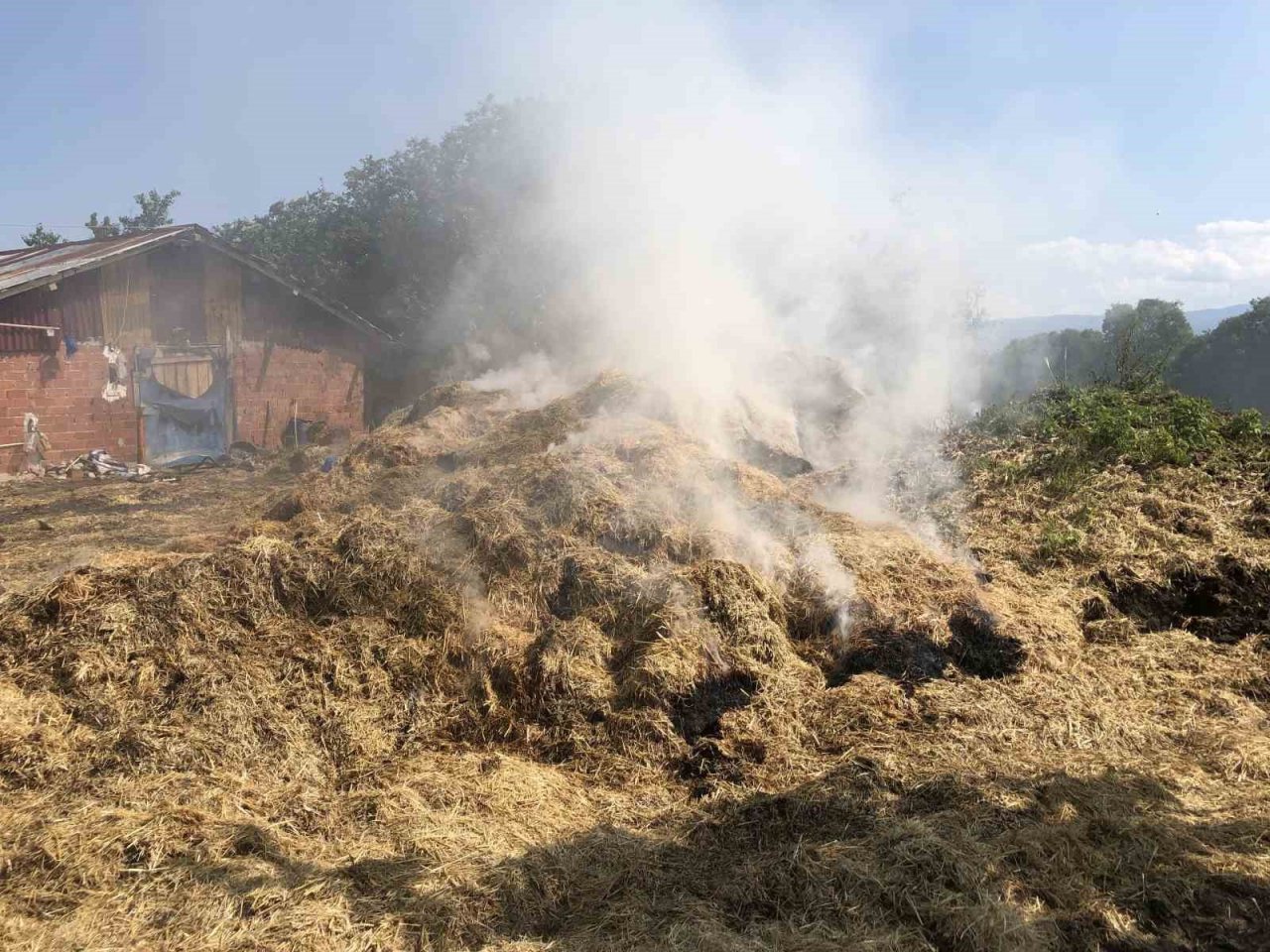 Amasya’da 10 ton saman kül oldu