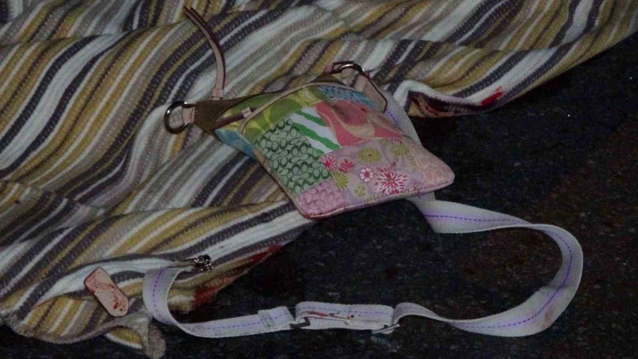 Tur midibüsü yaya geçidindeki turistlerin arasına böyle daldı: 2 ölü