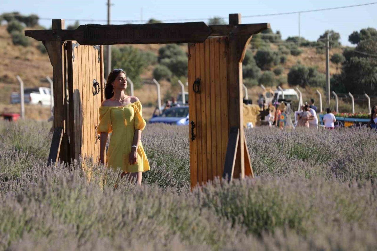 Didim’in mis kokulu Lavanta Festivali’ne sayılı günler kaldı