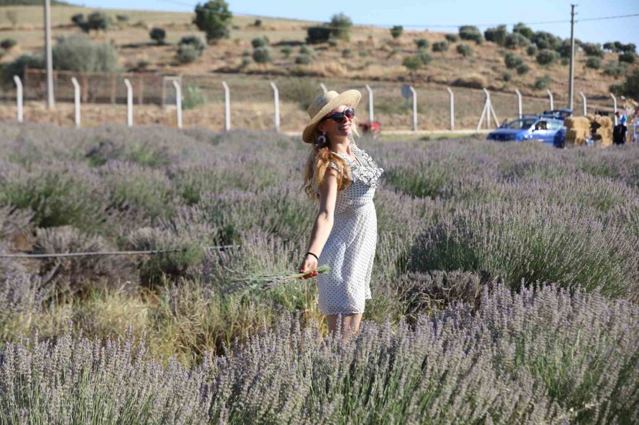 Didim’in mis kokulu Lavanta Festivali’ne sayılı günler kaldı