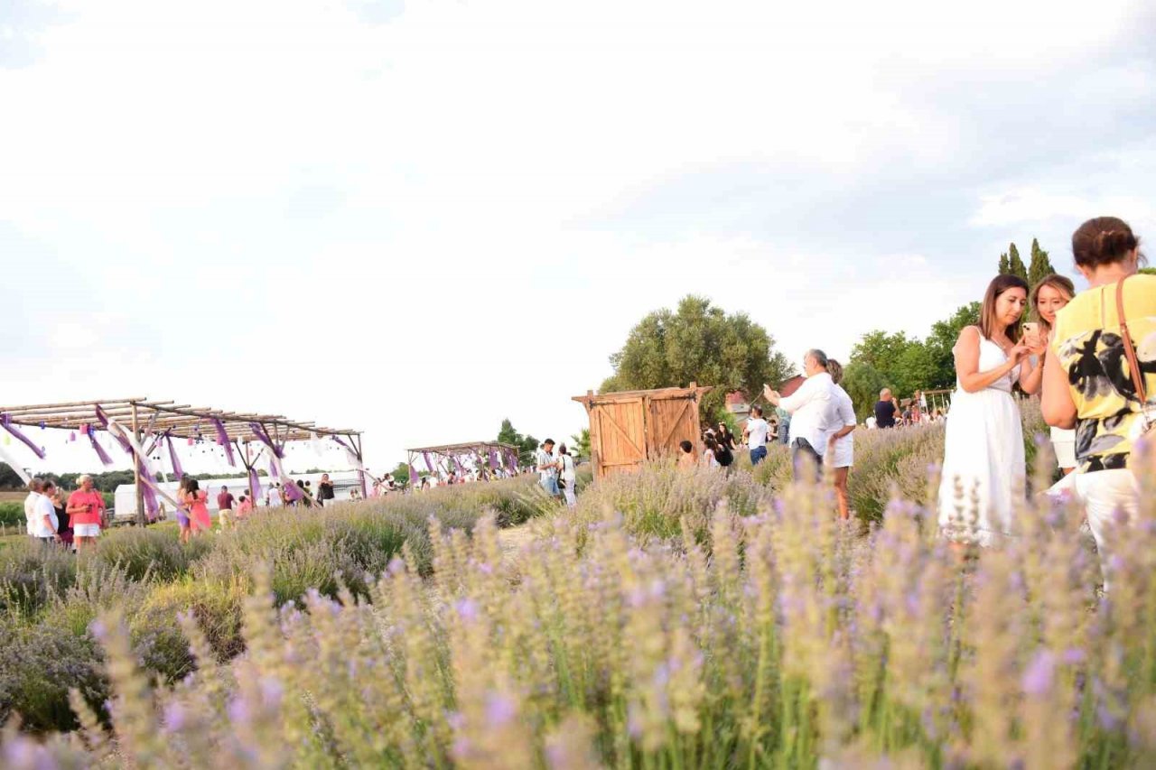 Didim’in mis kokulu Lavanta Festivali’ne sayılı günler kaldı