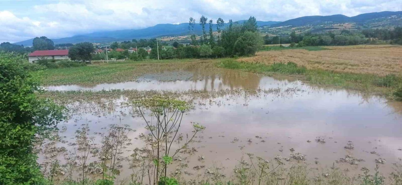 Bolu’da sel felaketinin zararı tespit ediliyor