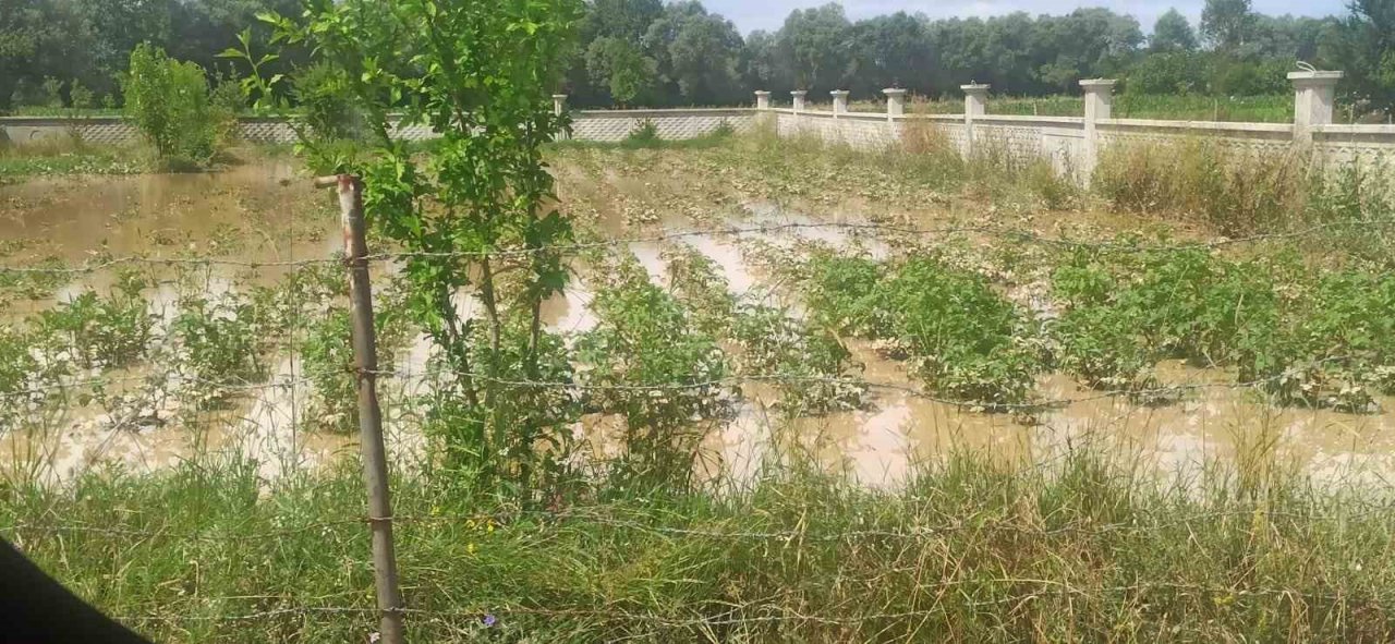 Bolu’da sel felaketinin zararı tespit ediliyor