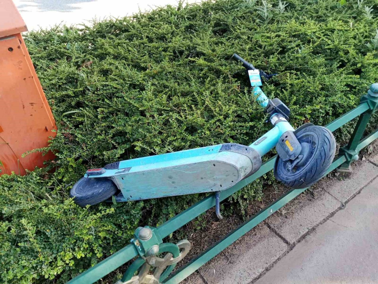 Çalıların üzerine atılan scooter dikkat çekti