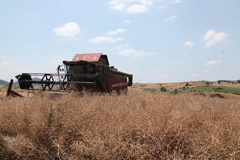 Biga’da ‘Kanola Ekelim Yağ olsun, Bal Olsun’ projesi çerçevesinde tarla günü düzenlendi