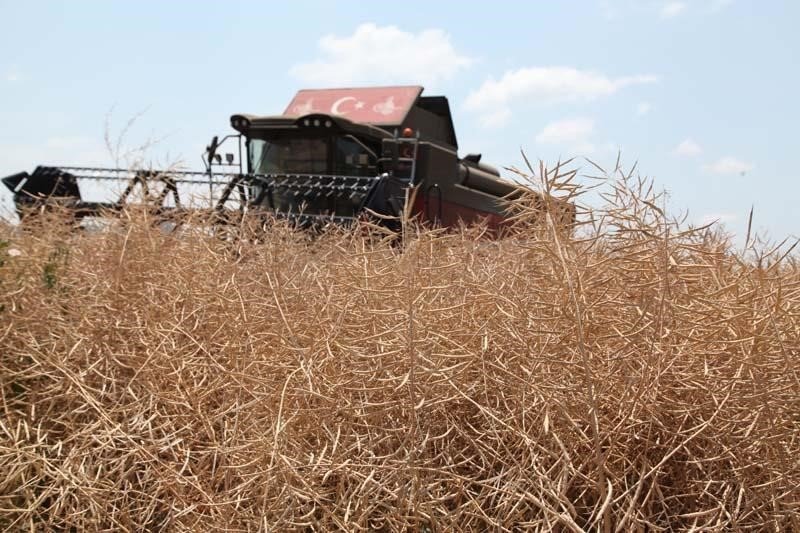 Biga’da ‘Kanola Ekelim Yağ olsun, Bal Olsun’ projesi çerçevesinde tarla günü düzenlendi