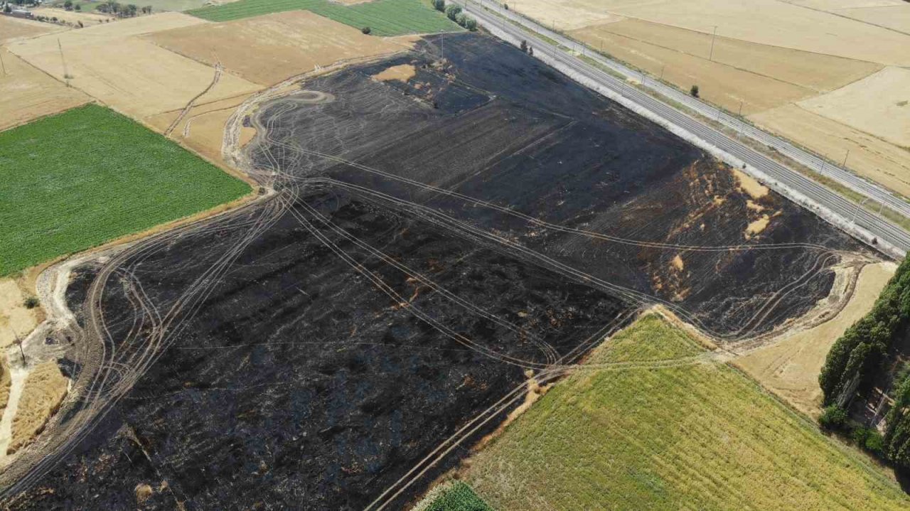 Havada güvercin kovalayan atmaca bakın neye sebep oldu?