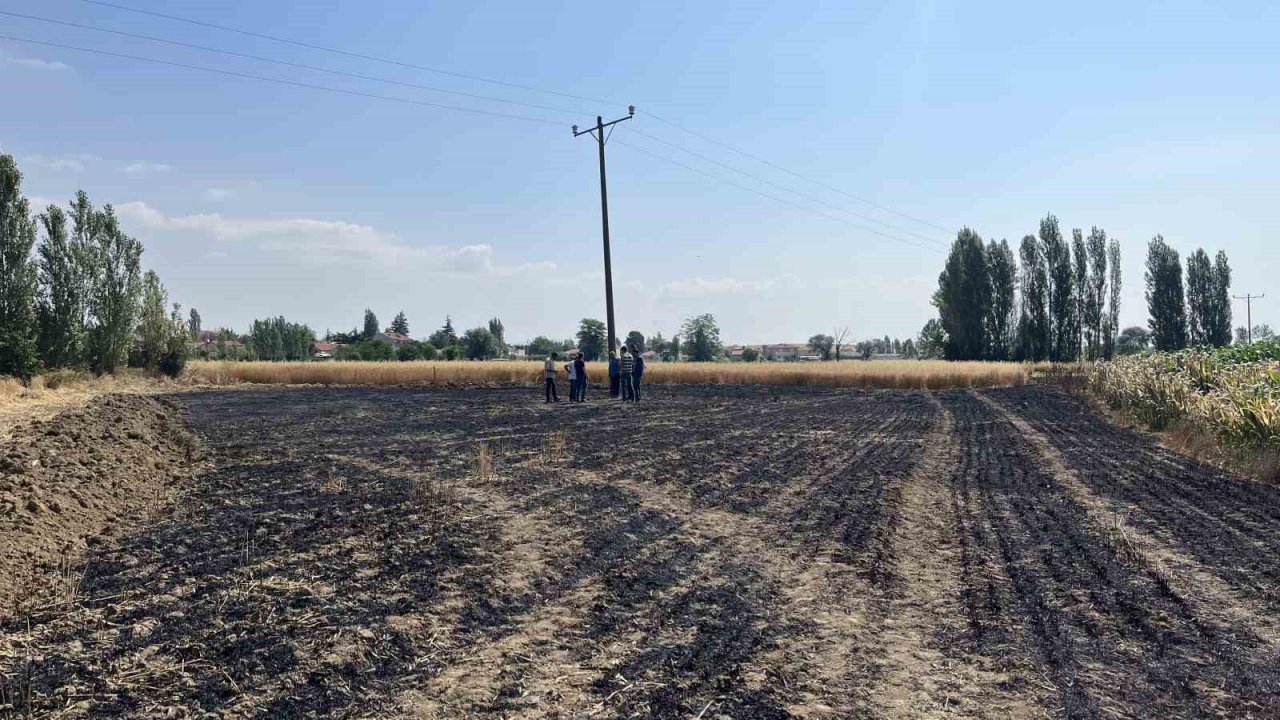 Havada güvercin kovalayan atmaca bakın neye sebep oldu?