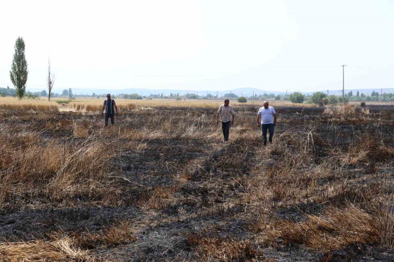 Havada güvercin kovalayan atmaca bakın neye sebep oldu?