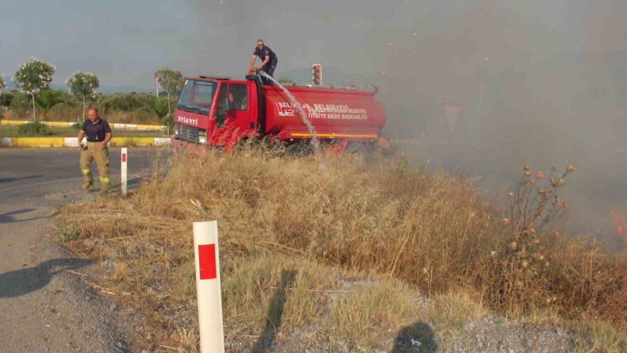 Balıkesir’de sazlık yangını yol kapattırdı