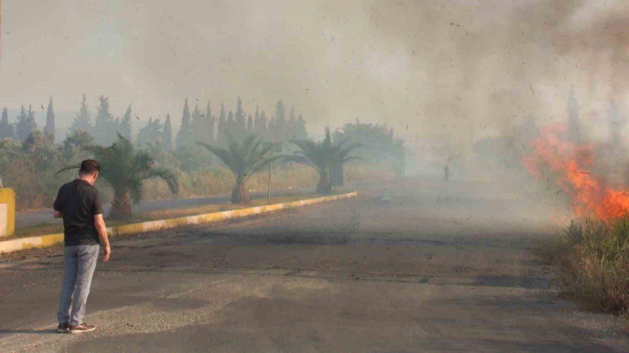 Balıkesir’de sazlık yangını yol kapattırdı