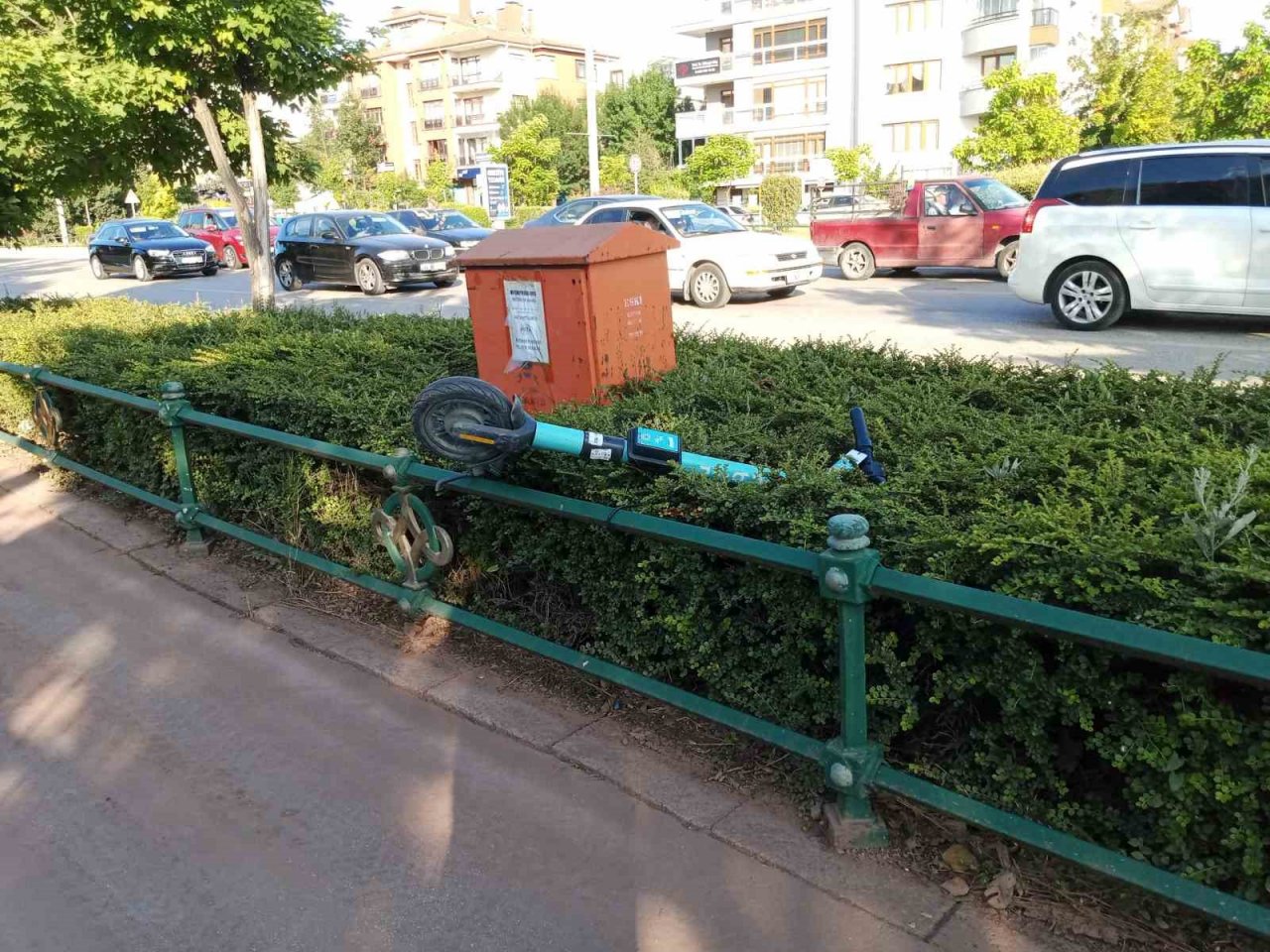 Çalıların üzerine atılan scooter dikkat çekti