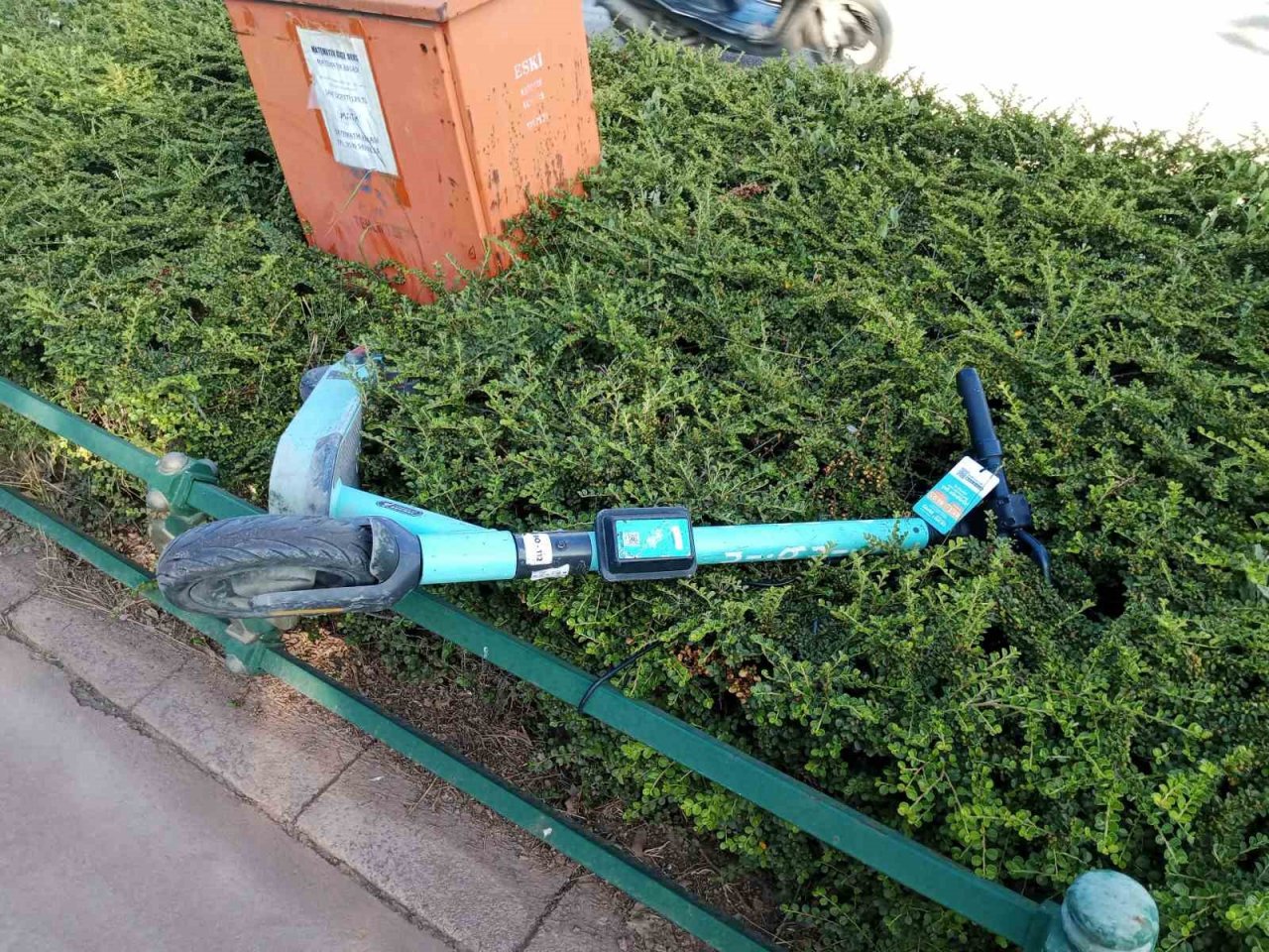 Çalıların üzerine atılan scooter dikkat çekti