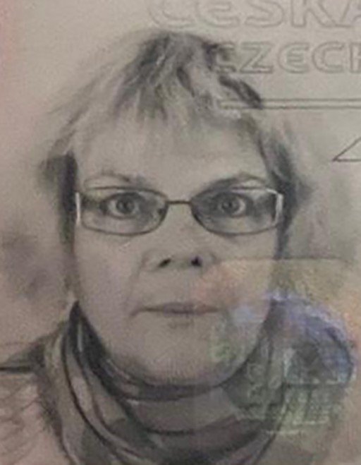 Yaya geçidinde Çek uyruklu 2 turistin ölümüne sebep olan sürücü tutuklandı