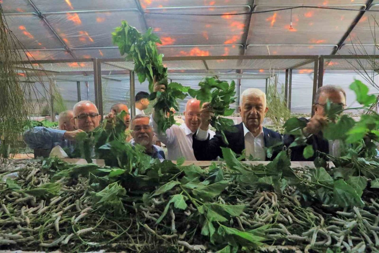 İpekböcekçiliği, kadın üreticilerin ellerinde yeniden canlandı