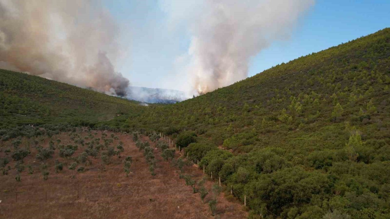 Milas’taki orman yangını havadan görüntülendi