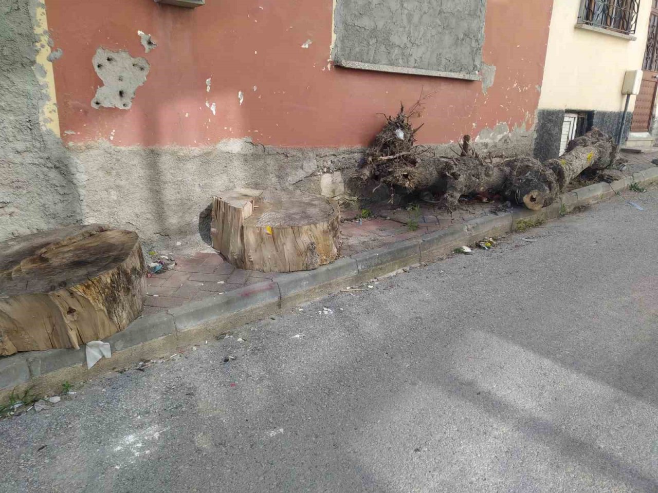 Bu kütüklerin kaldırımda ne işi var?