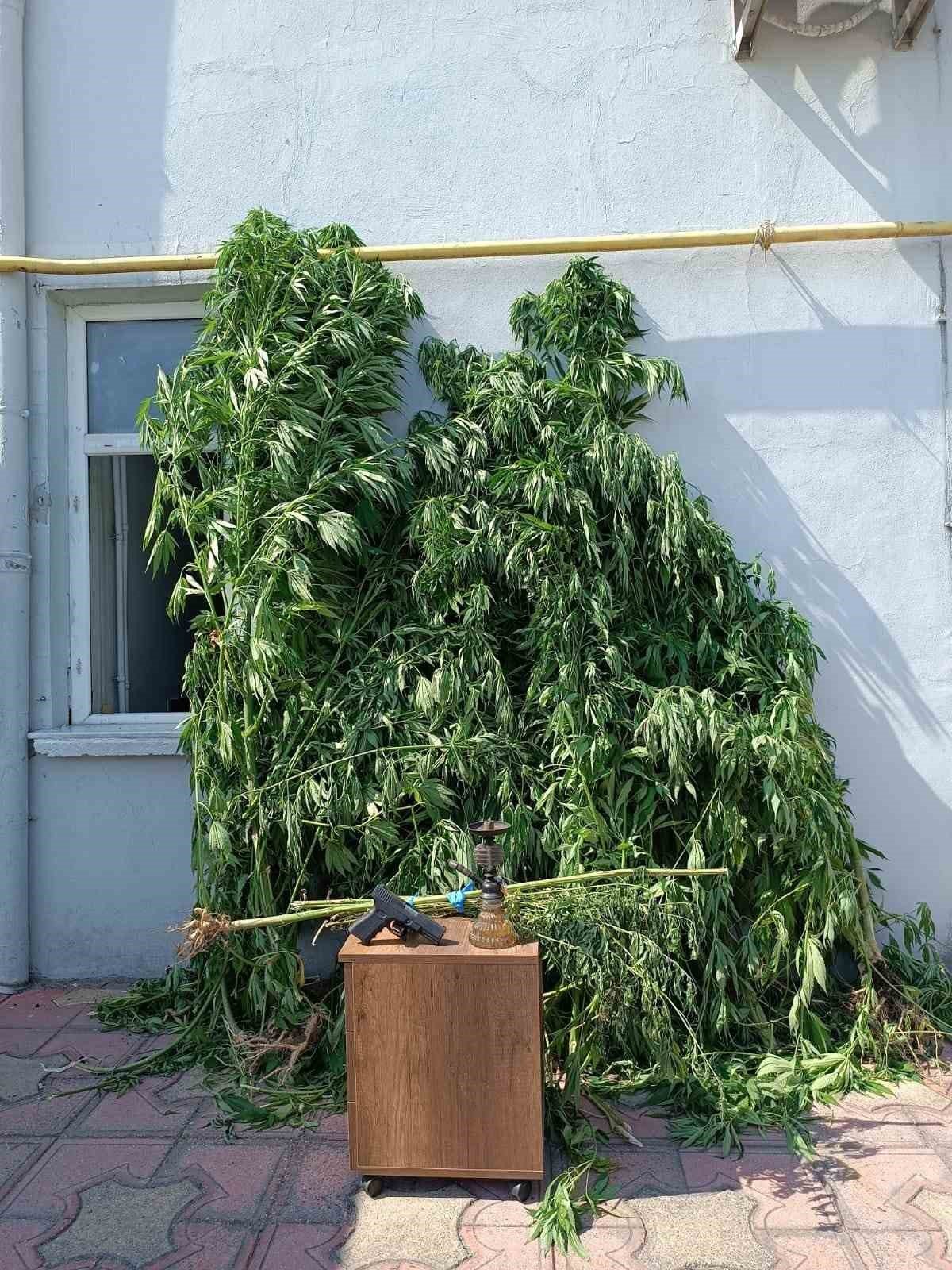 Jandarmadan uyuşturucu operasyonu: 1 gözaltı