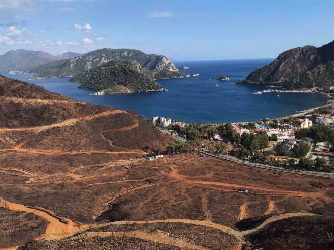 Başkan Oktay’dan orman yangınlarına karşı dikkat çağrısı