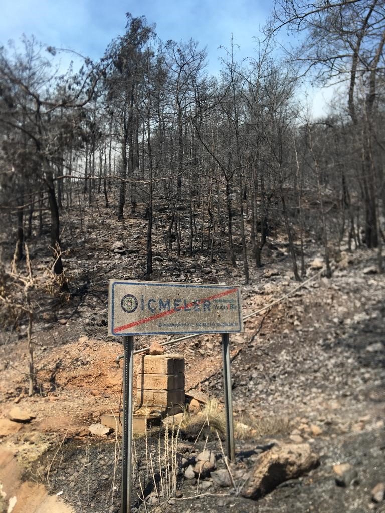 Başkan Oktay’dan orman yangınlarına karşı dikkat çağrısı