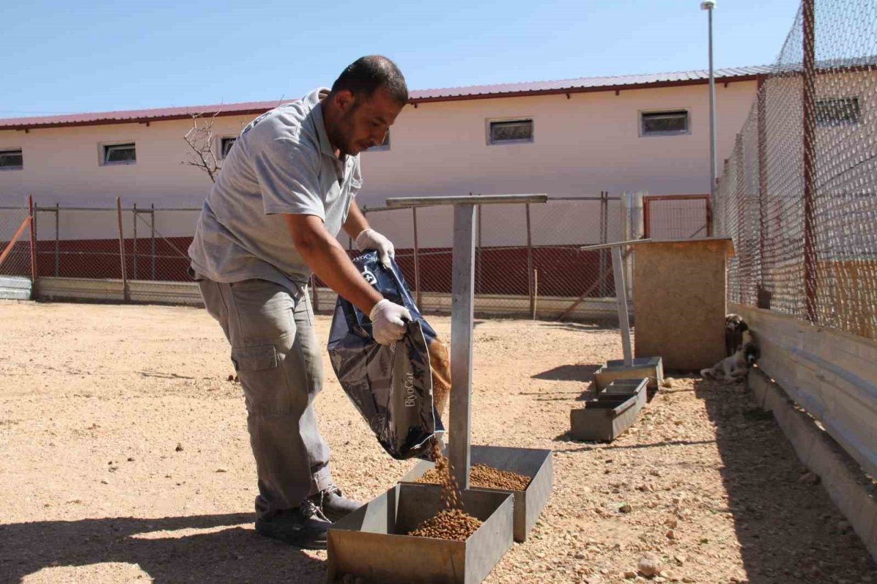 ’Hayvanların açlıktan birbirini yediği’ iddiası mahkemeden döndü