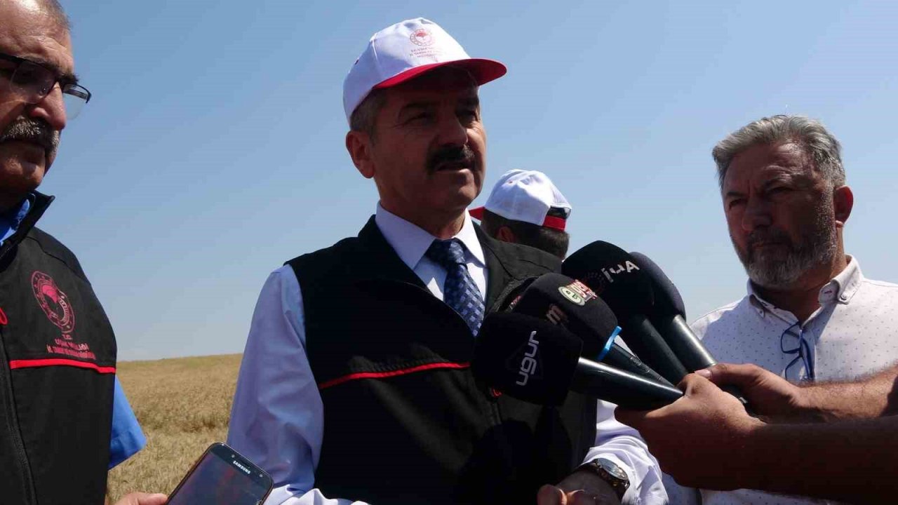 Uşak Valisi Dr. Turan Ergün buğday hasadı programına katıldı