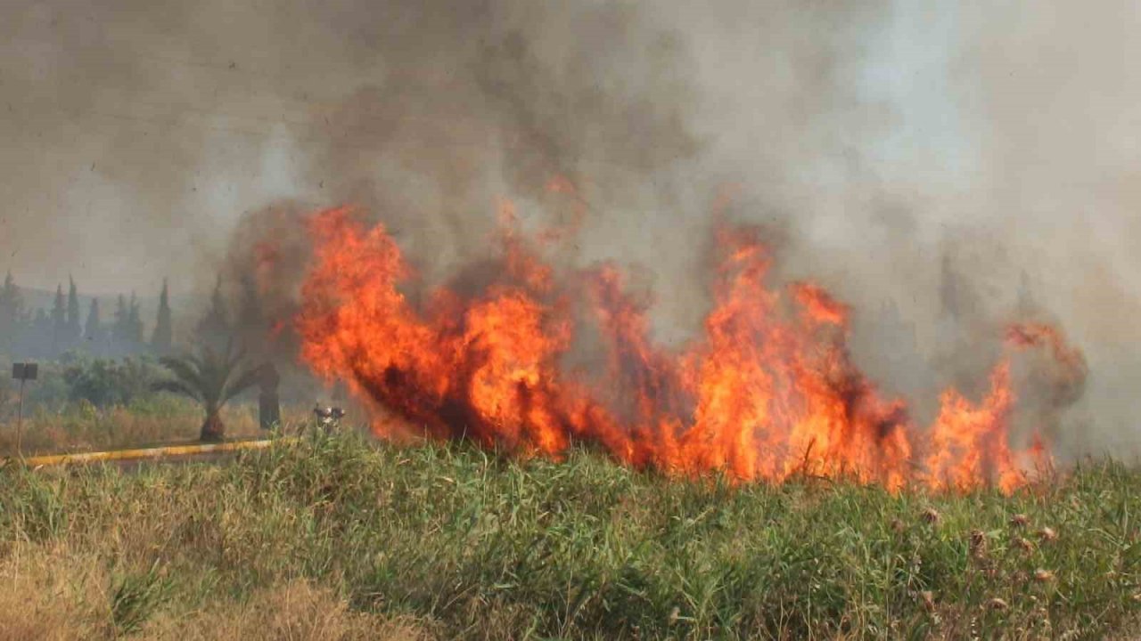 Balıkesir’de sazlık yangını yol kapattırdı