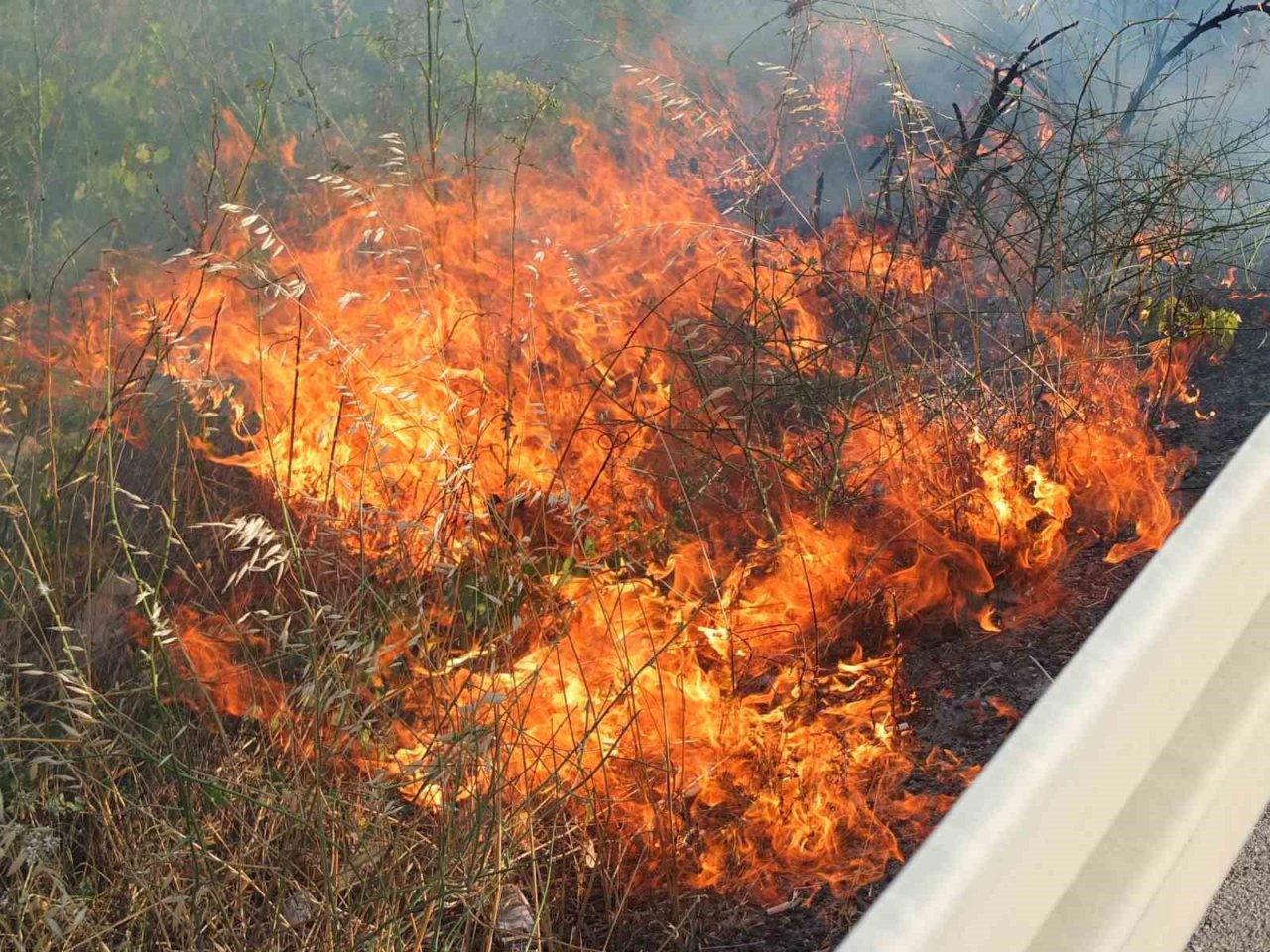 Balıkesir’de sazlık yangını yol kapattırdı