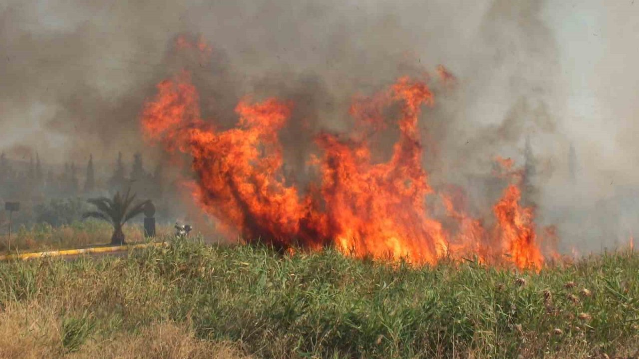 Balıkesir’de sazlık yangını yol kapattırdı