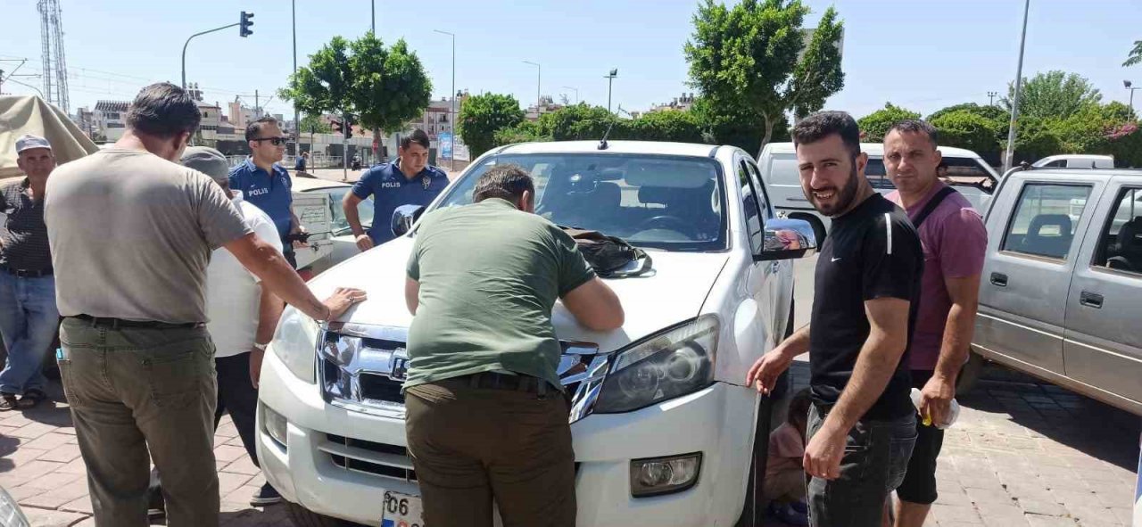 Pazar yerinde satışa çıkarılan 17 adet sultan papağanı ve 7 adet Pakistan papağanına el konuldu