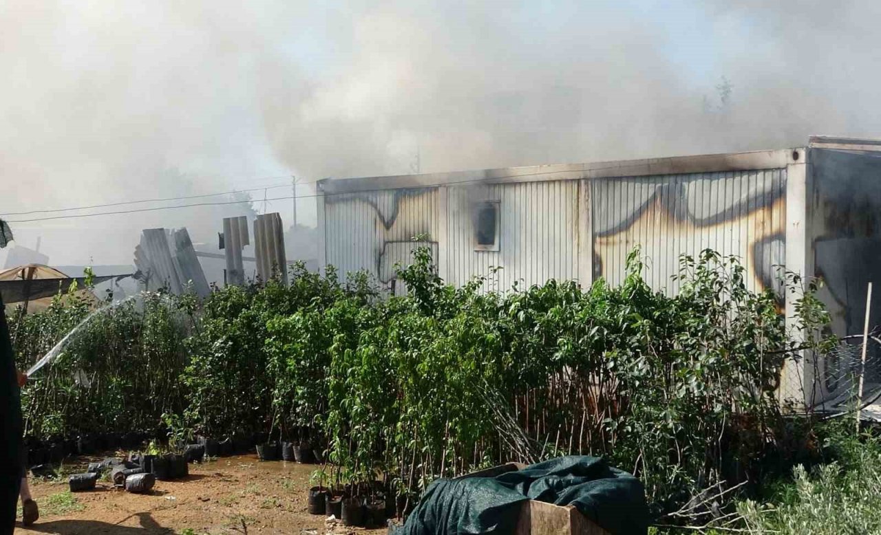 Antalya’da ikinci el eşya satılan konteyner alev alev yandı