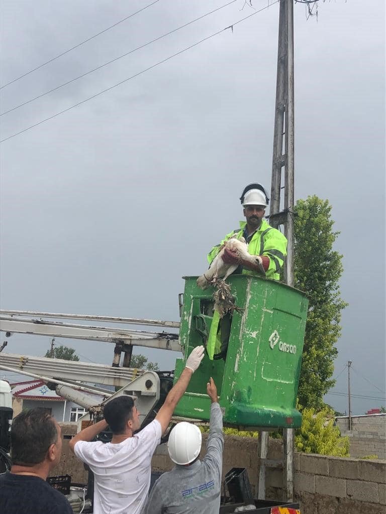 Ayağına ip dolanan leylek kurtarıldı