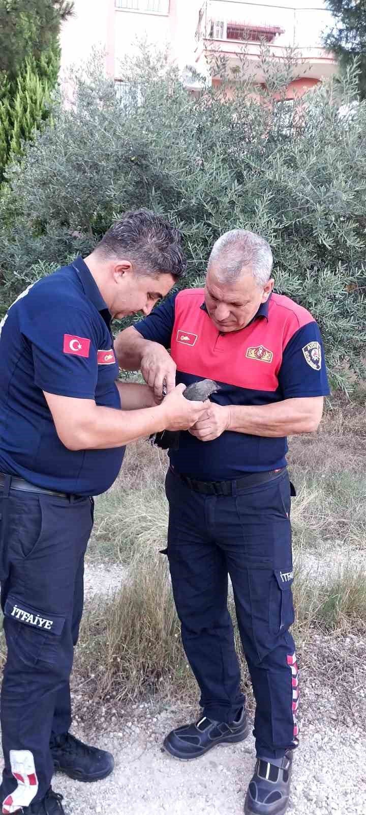 Karganın imdadına itfaiye yetişti