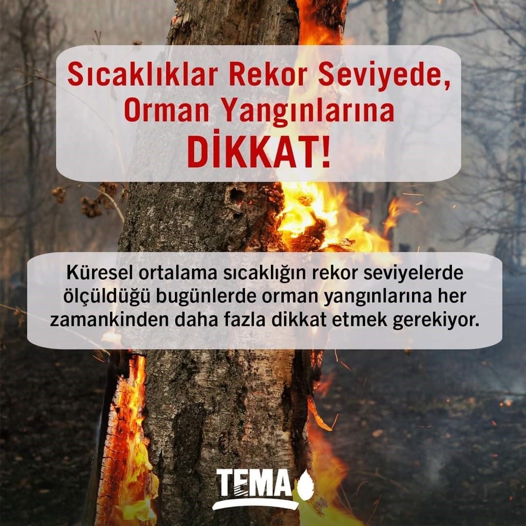 Orman yangınların karşı uyarı: “Bir kıvılcım geleceğimizi yakmasın, ormanlarımız hep yaşasın”