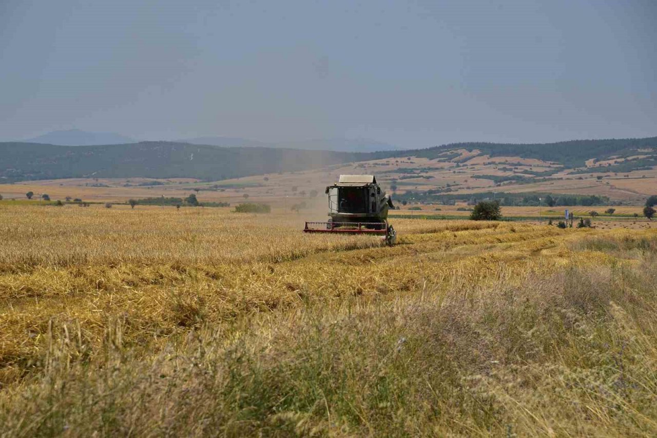 BAÜN’de hububat hasadı yapıldı
