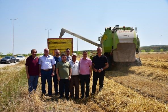 BAÜN’de hububat hasadı yapıldı