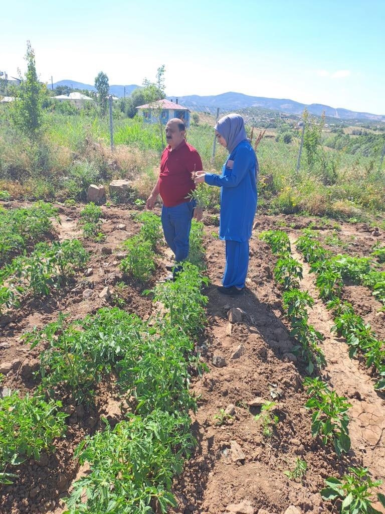 Bingöl’deki sebze ekili alanlar kontrol ediliyor