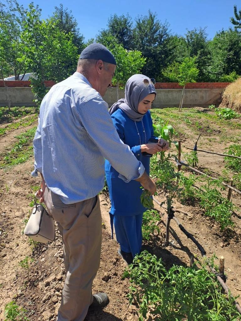 Bingöl’deki sebze ekili alanlar kontrol ediliyor